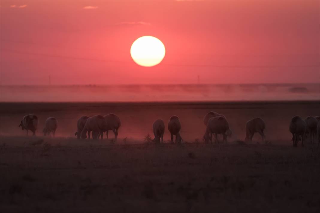 Kavurucu sıcaklar Tuz Gölü'nü kızarttı! Bakteriler cirit atıyor 4